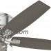 Hunter Fan Company 53394 Ceiling Fan  Large  Brushed Nickel - B06WRRY5KP